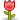 rose.png