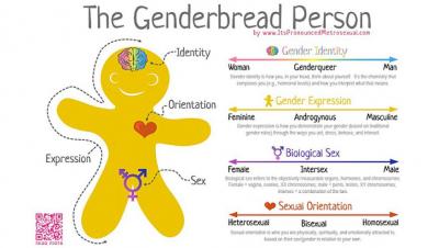 genderbread.jpg